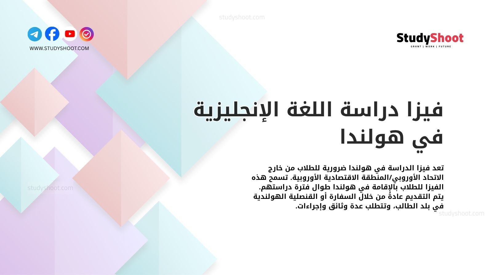 فيزا دراسة اللغة الإنجليزية في هولندا