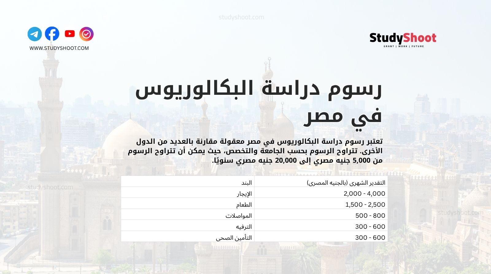 رسوم دراسة البكالوريوس في مصر