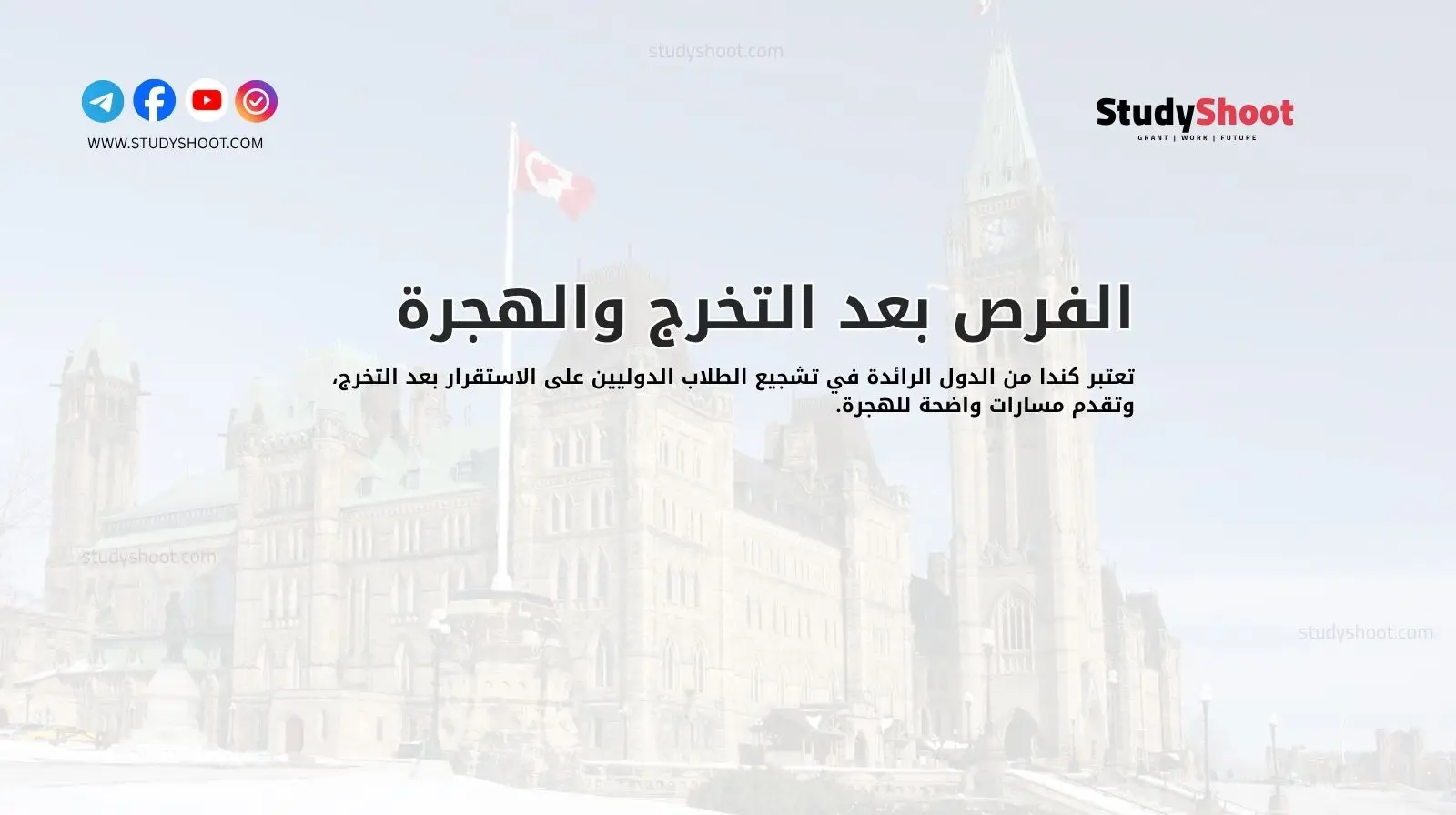 الفرص بعد التخرج والهجرة