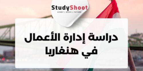 دراسة إدارة الأعمال في هنغاريا