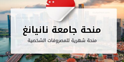 منحة جامعة نانيانغ
