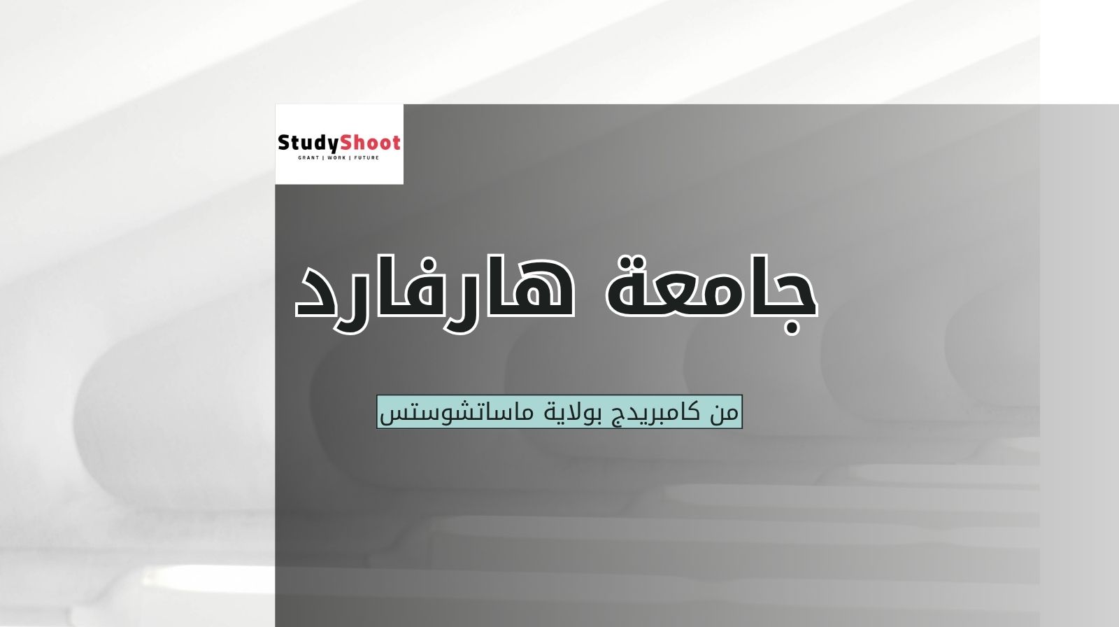 جامعة هارفارد