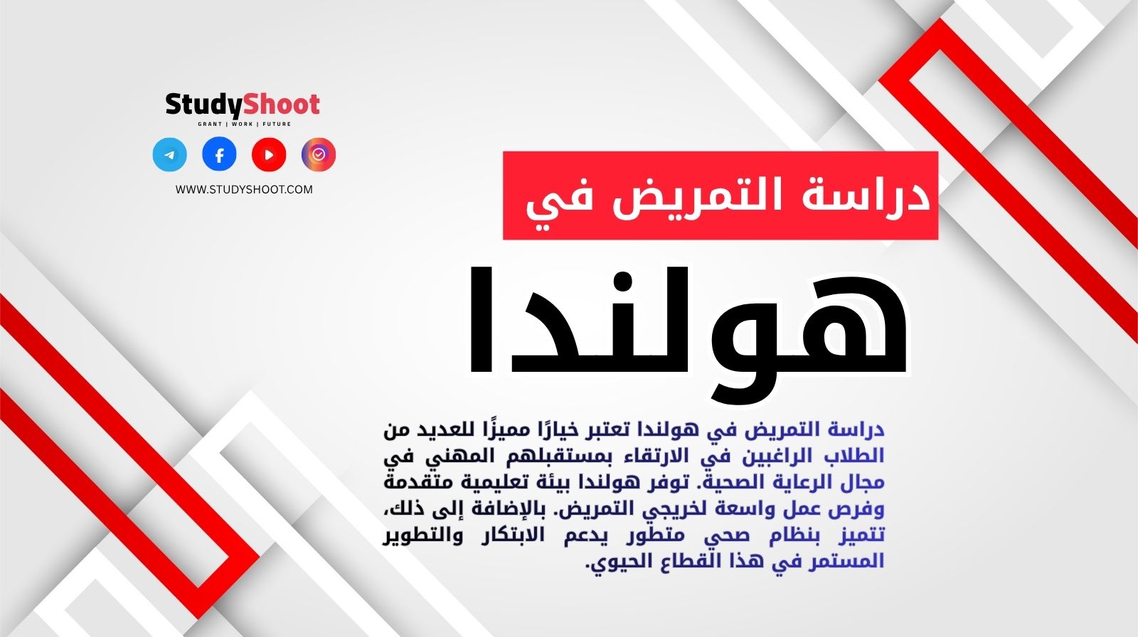 دراسة التمريض في هولندا