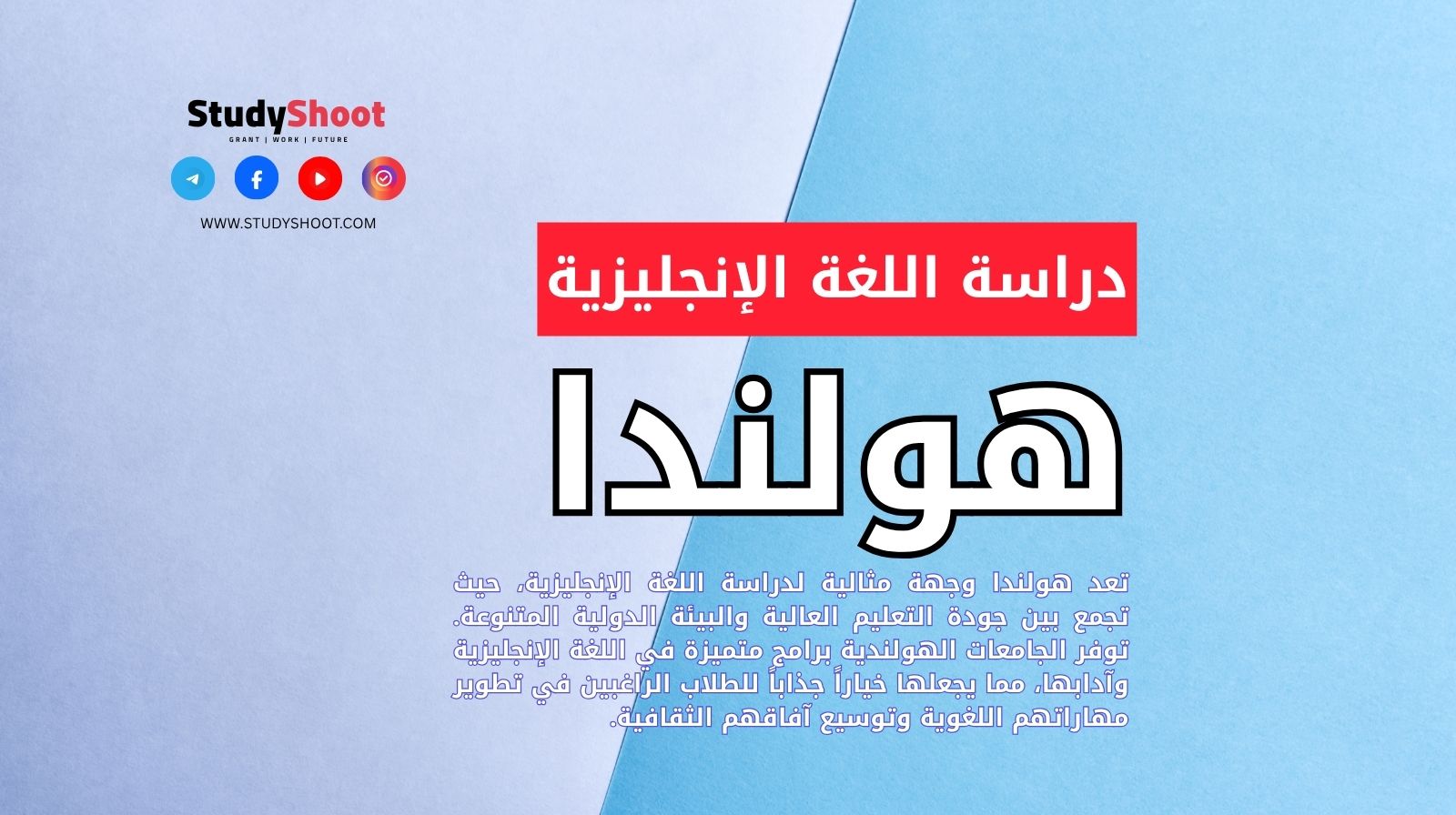 دراسة اللغة الإنجليزية في هولندا