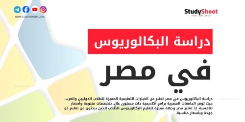 دراسة البكالوريوس في مصر