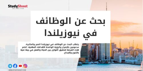 البحث عن الوظائف في نيوزيلندا