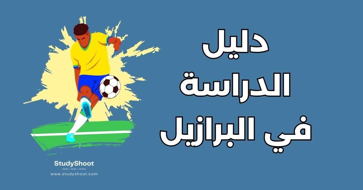 الدراسة في البرازيل