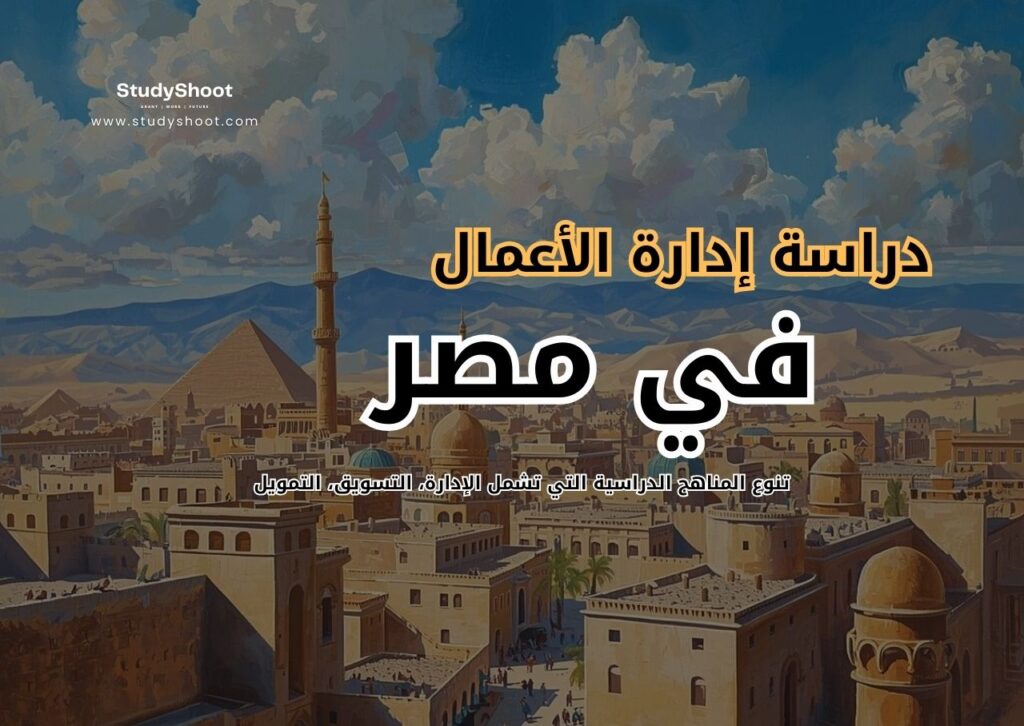 دراسة إدارة الأعمال في مصر