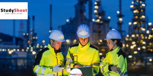 دراسة هندسة البترول في مصر