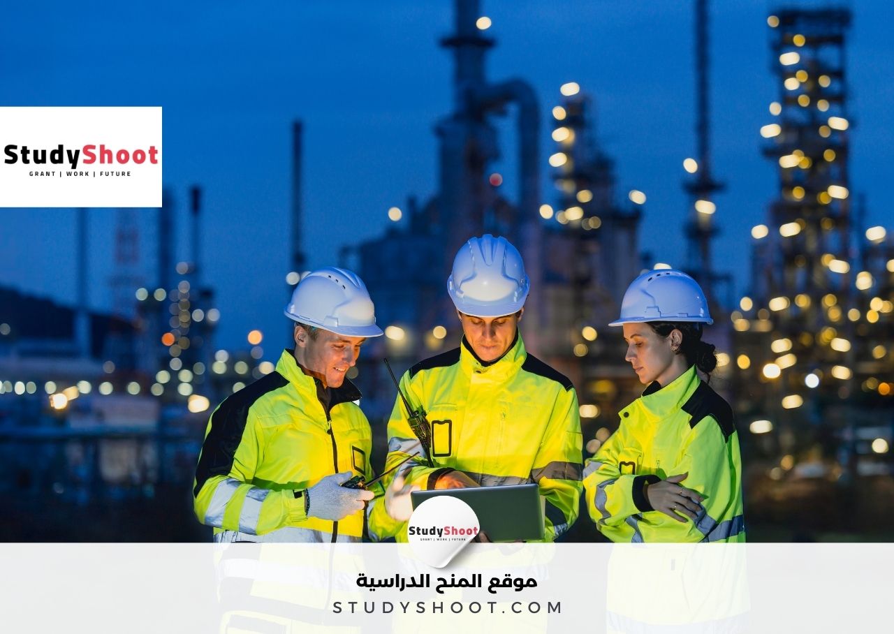 دراسة هندسة البترول في مصر