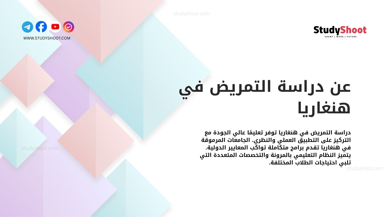 عن دراسة التمريض في هنغاريا