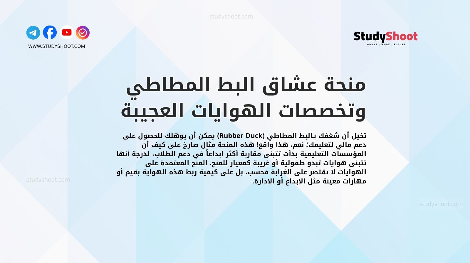 منحة عشاق البط المطاطي وتخصصات الهوايات العجيبة