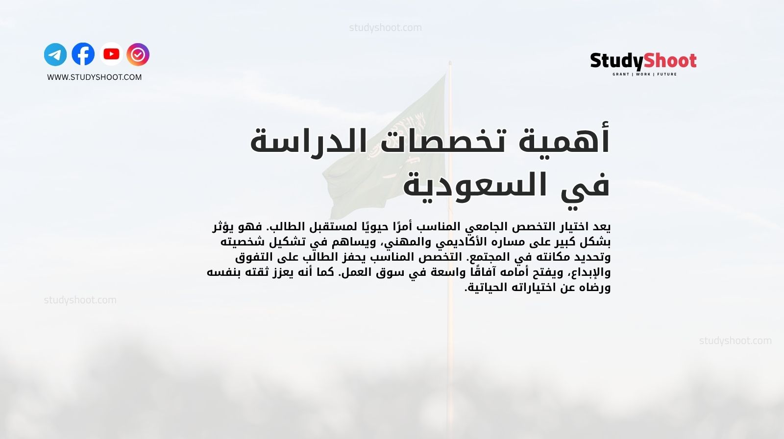 أهمية تخصصات الدراسة في السعودية