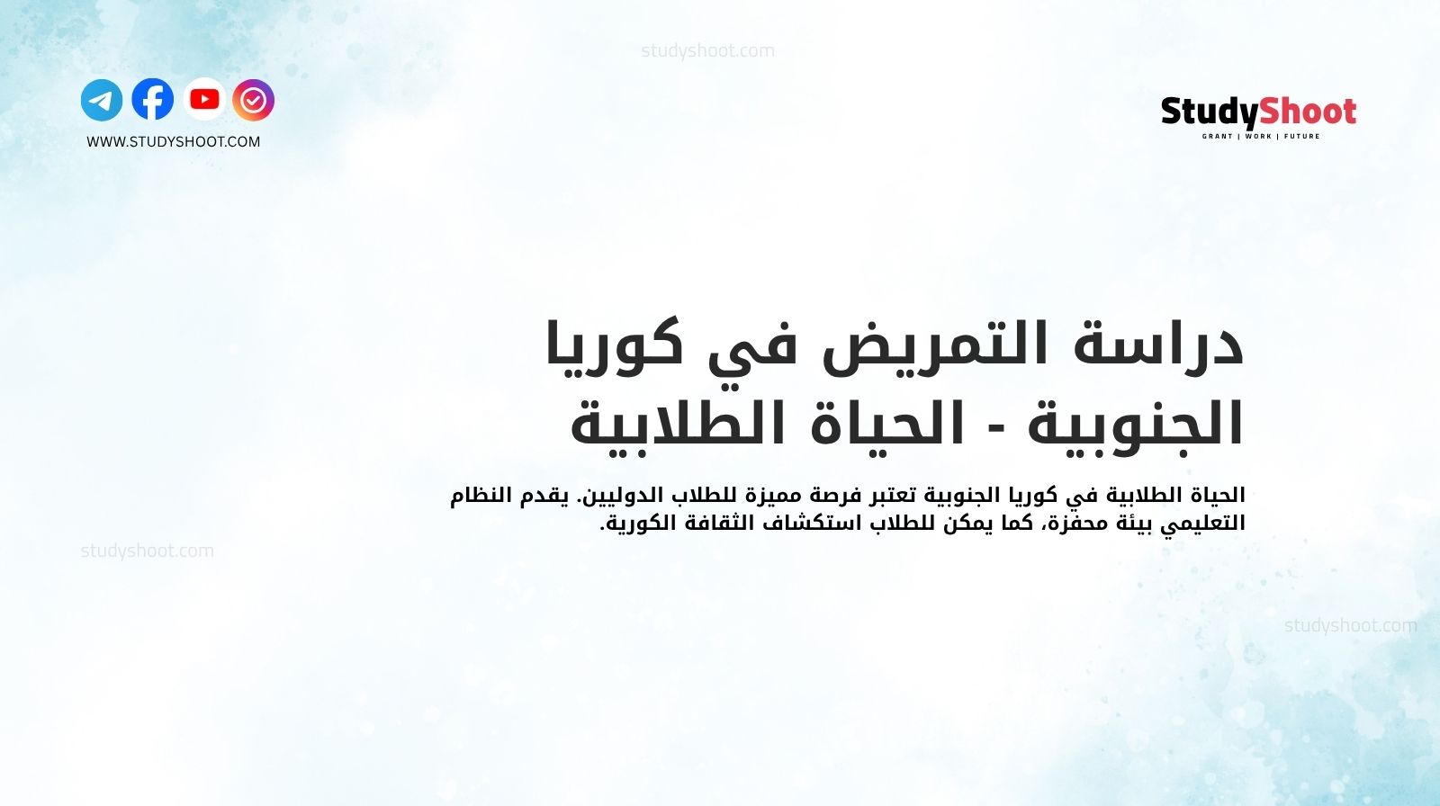 دراسة التمريض في كوريا الجنوبية - الحياة الطلابية