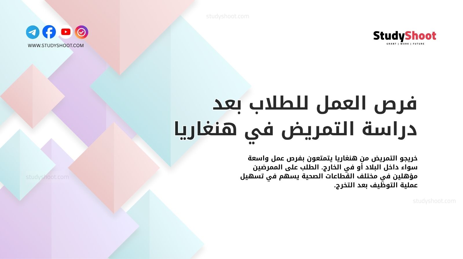 فرص العمل للطلاب بعد دراسة التمريض في هنغاريا