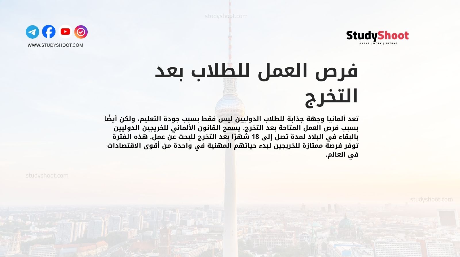 فرص العمل للطلاب بعد التخرج