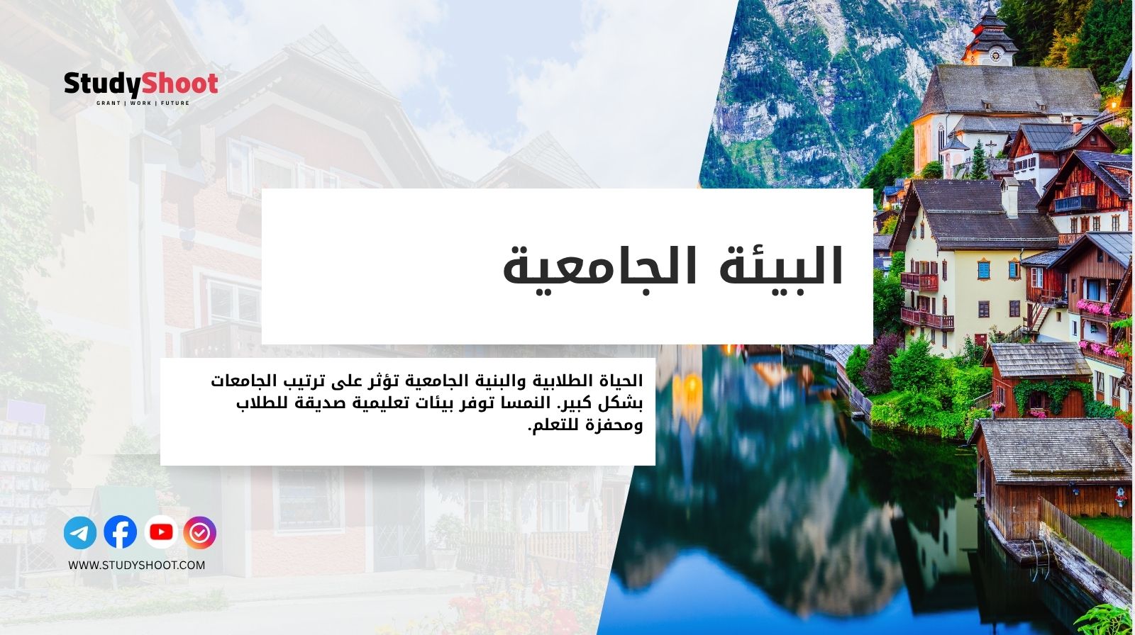 البيئة الجامعية