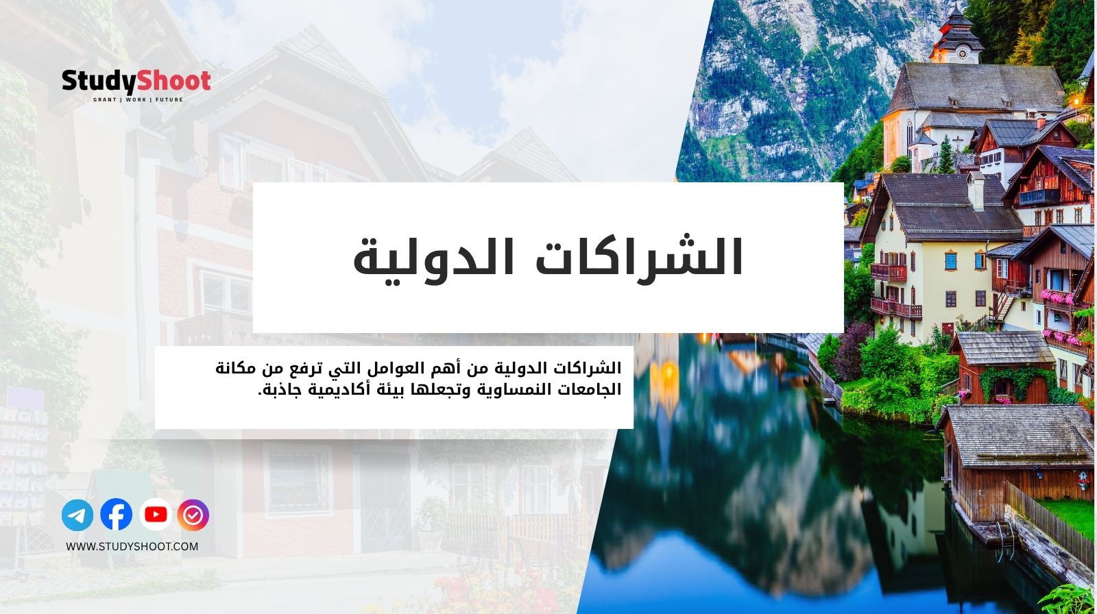 الشراكات الدولية