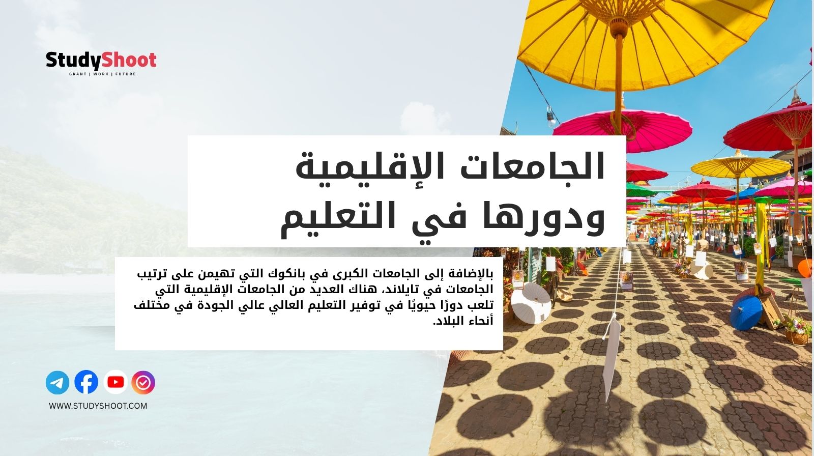 الجامعات الإقليمية ودورها في التعليم العالي