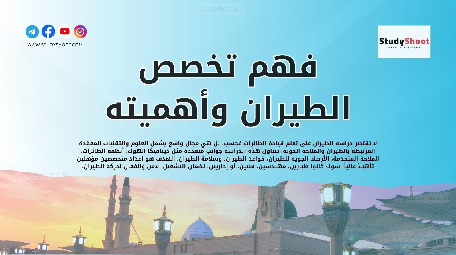 فهم تخصص الطيران وأهميته الاستراتيجية