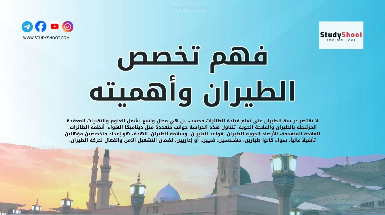 فهم تخصص الطيران وأهميته الاستراتيجية