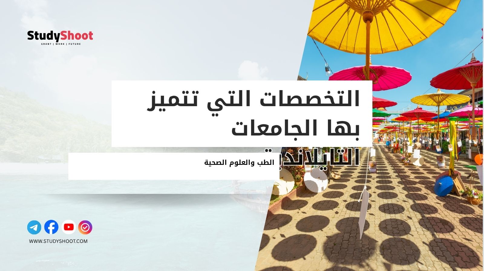 التخصصات التي تتميز بها الجامعات التايلاندية