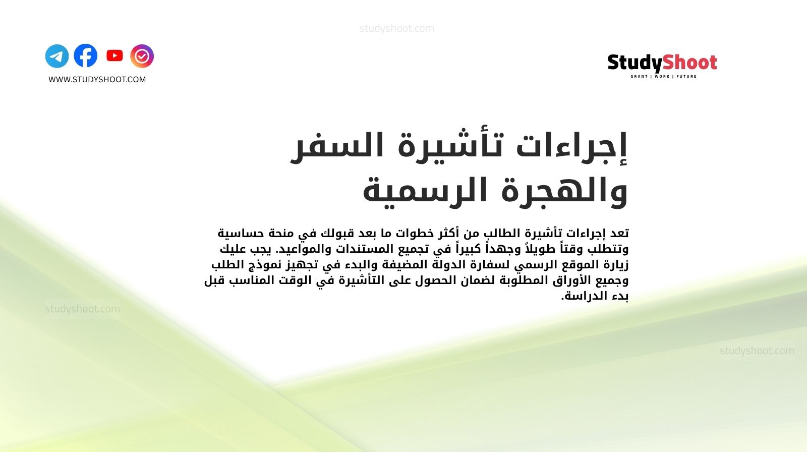 إجراءات تأشيرة السفر والهجرة الرسمية