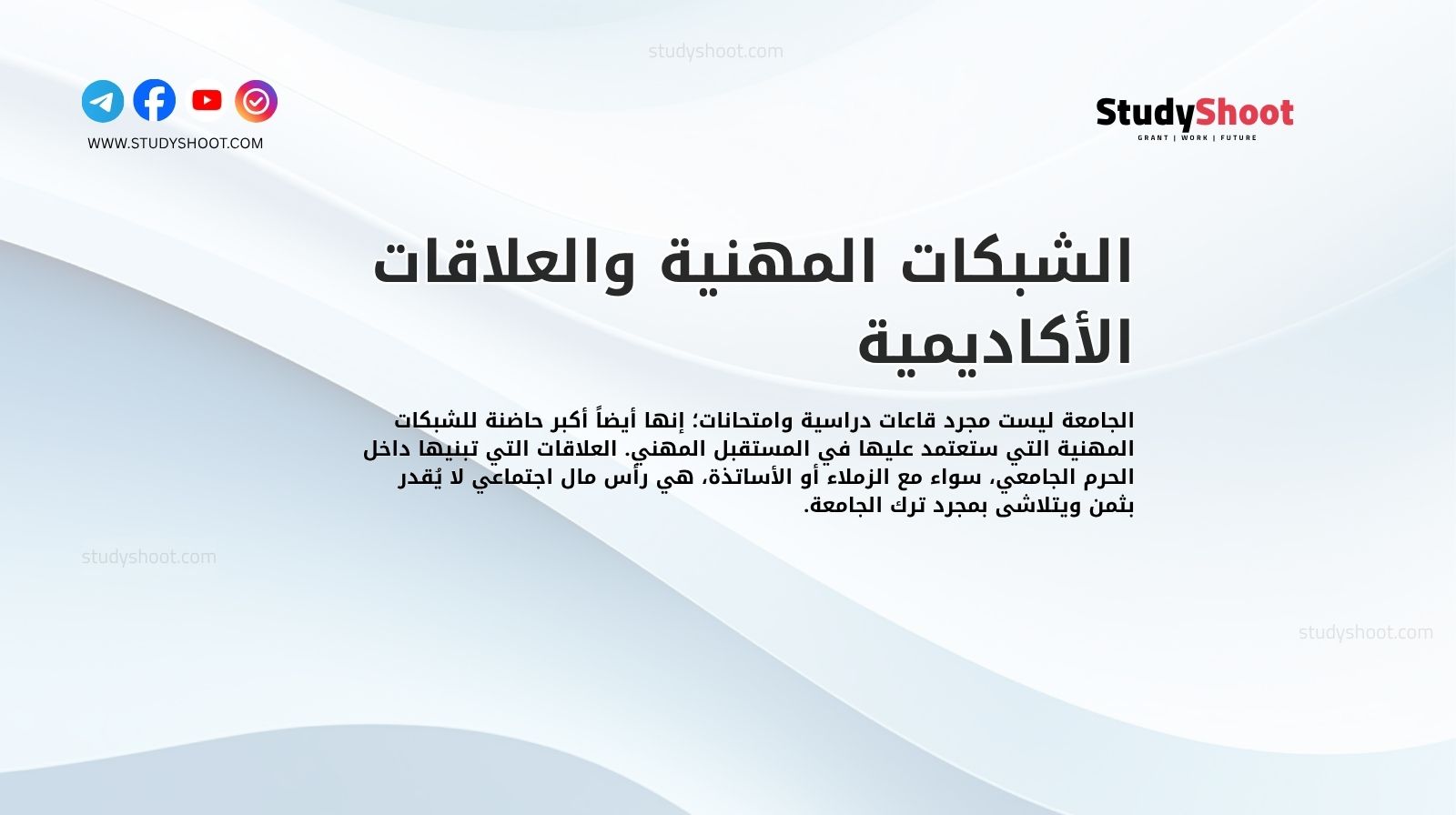 الشبكات المهنية والعلاقات الأكاديمية