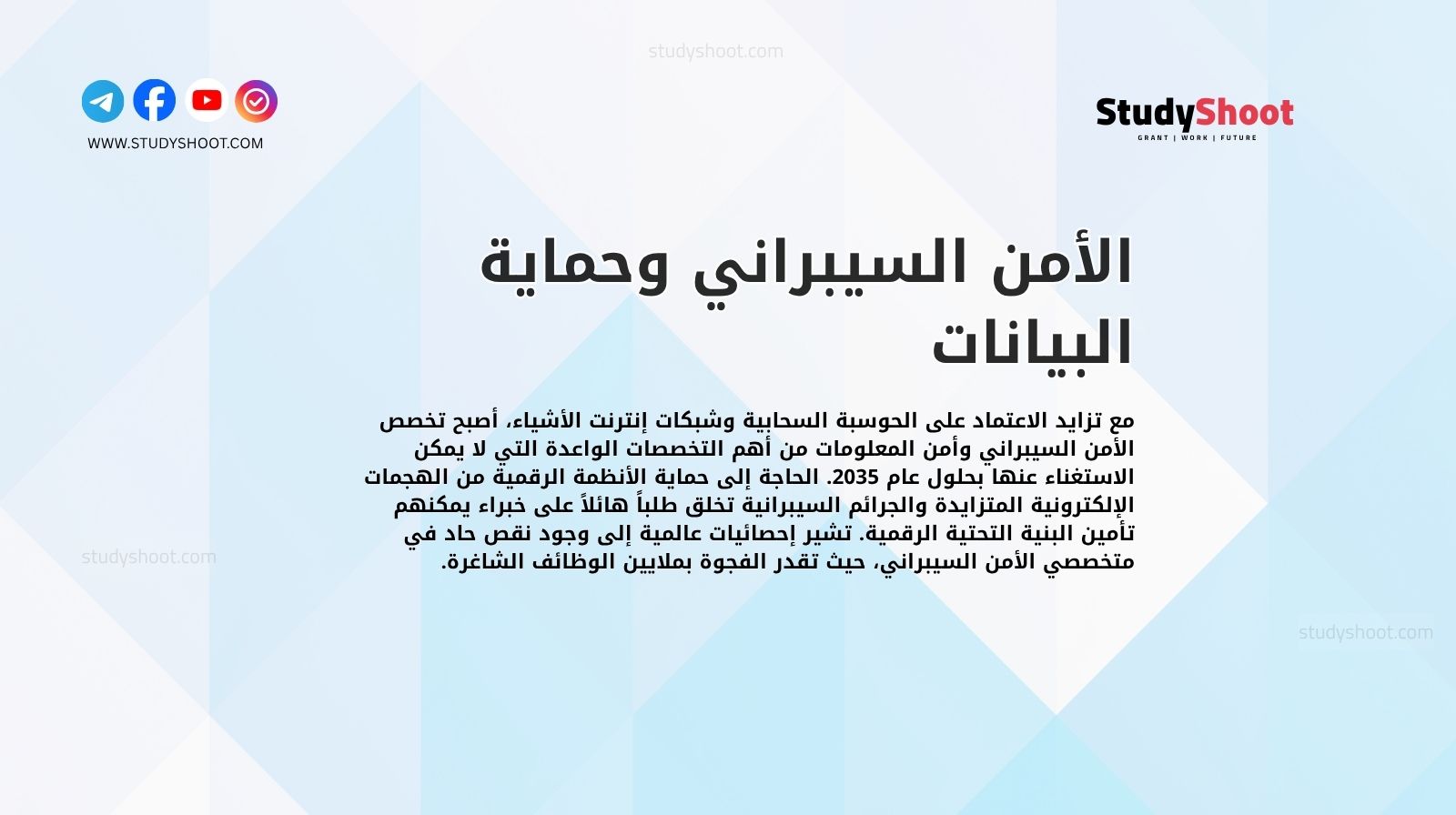 الأمن السيبراني وحماية البيانات