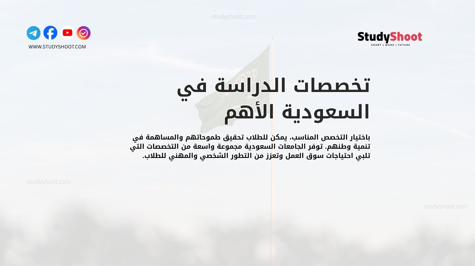 تخصصات الدراسة في السعودية الأهم