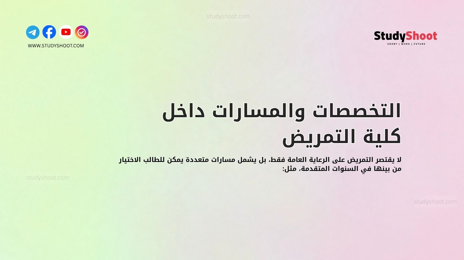 التخصصات والمسارات داخل كلية التمريض