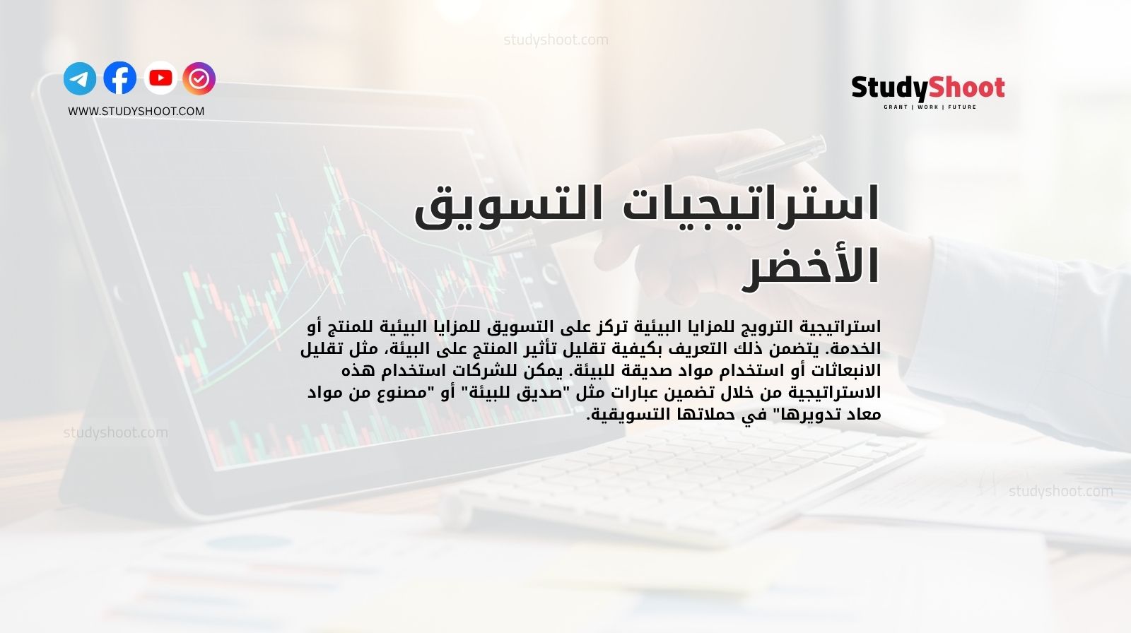 استراتيجيات التسويق الأخضر