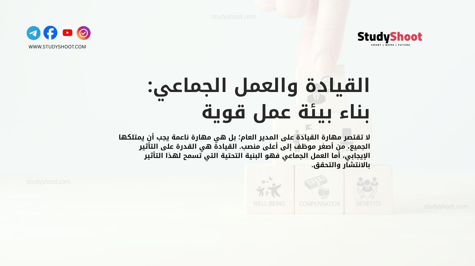 القيادة والعمل الجماعي: بناء بيئة عمل قوية