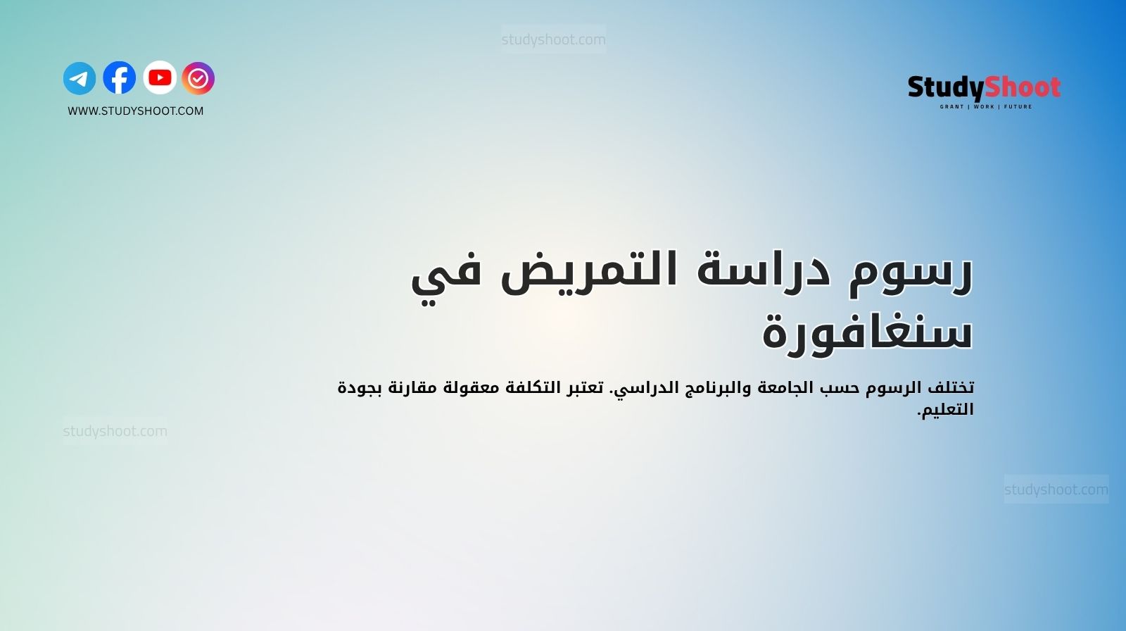 رسوم دراسة التمريض في سنغافورة