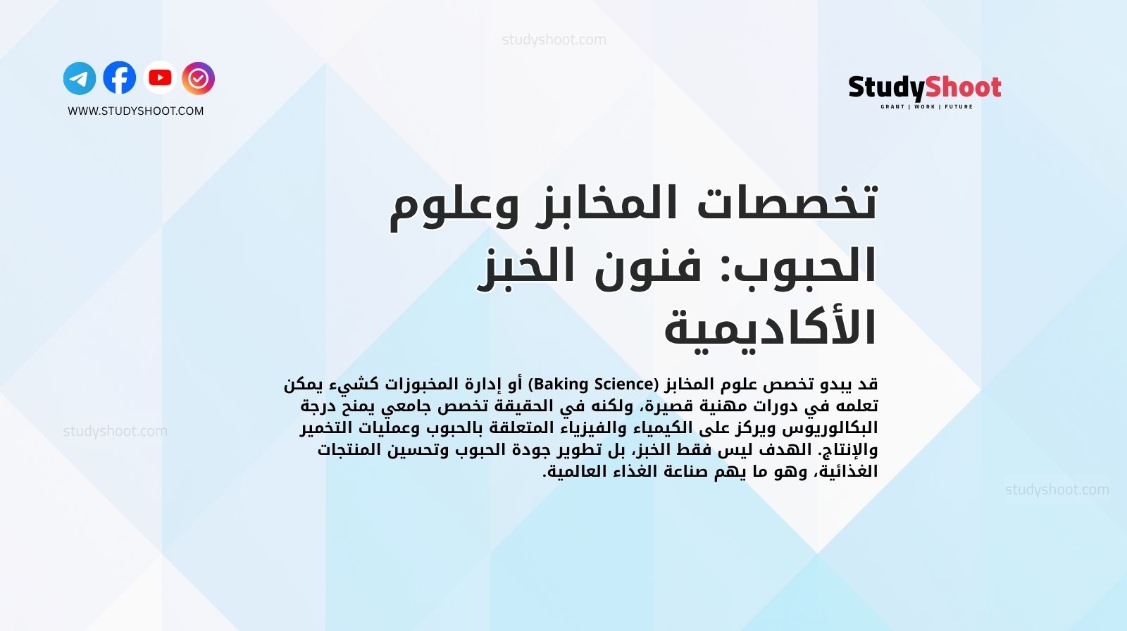 تخصصات المخابز وعلوم الحبوب: فنون الخبز الأكاديمية