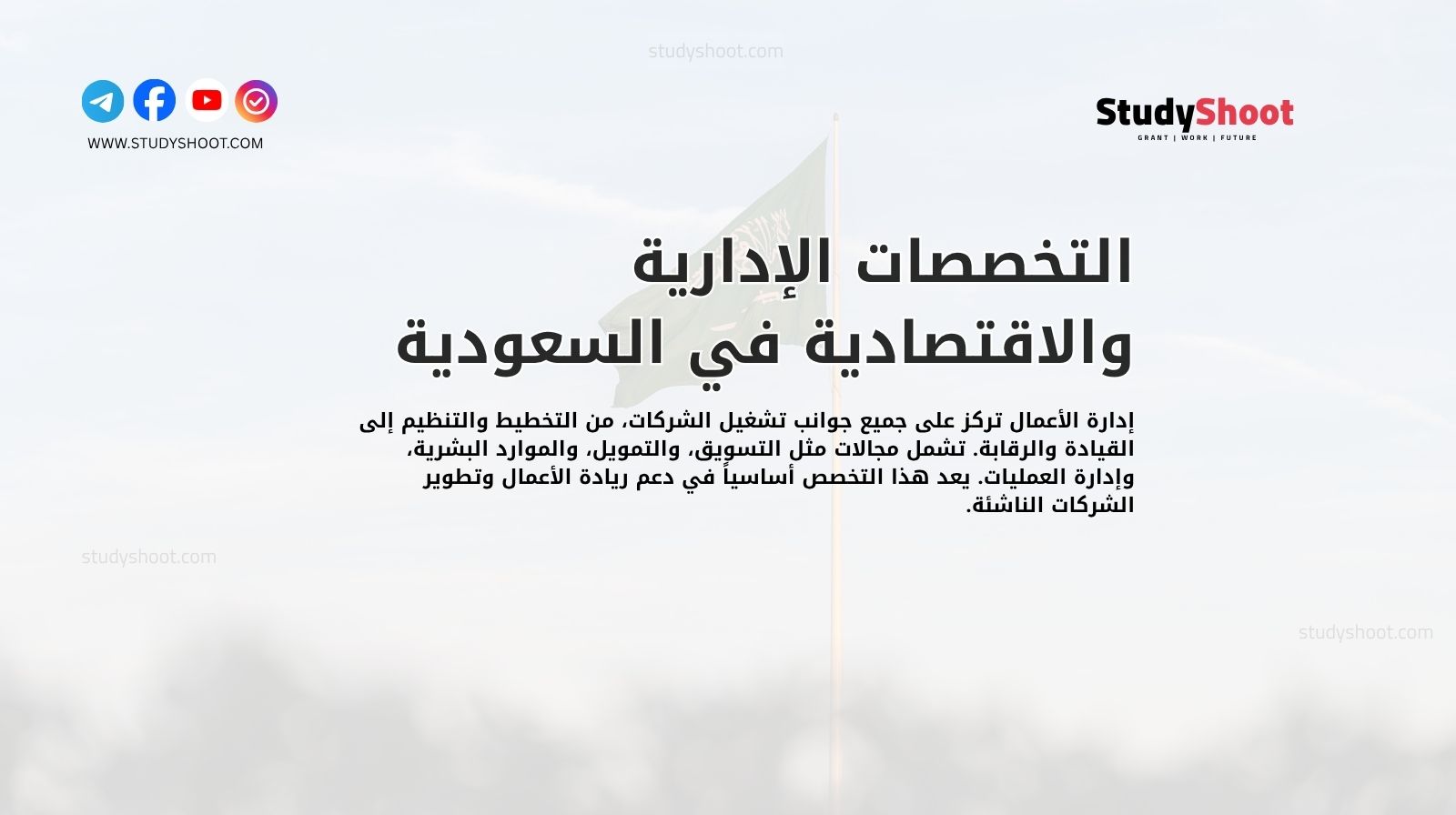 التخصصات الإدارية والاقتصادية في السعودية