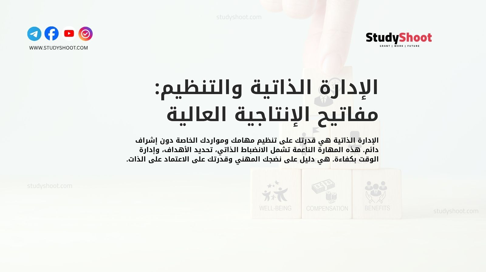 الإدارة الذاتية والتنظيم: مفاتيح الإنتاجية العالية