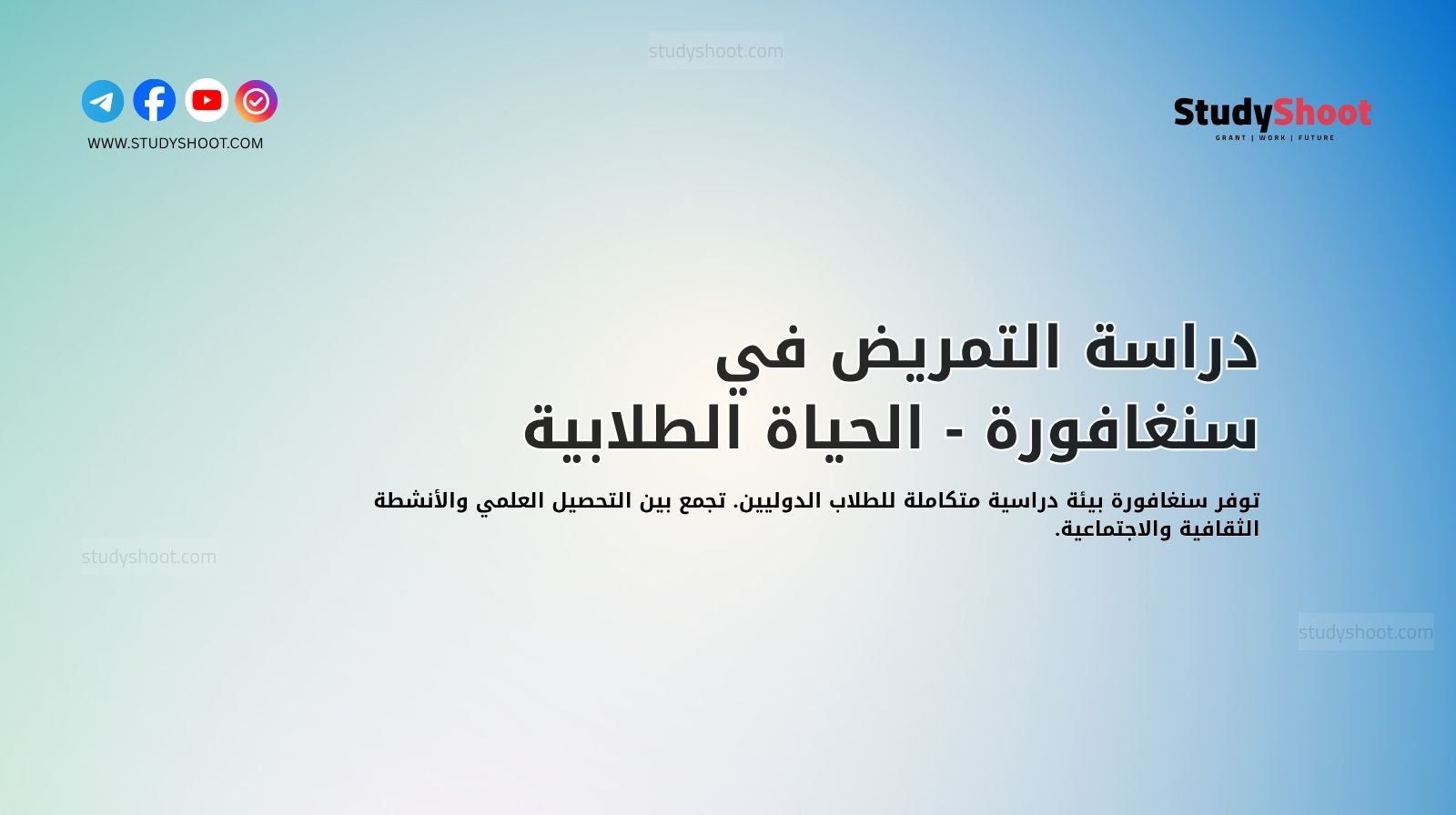 دراسة التمريض في سنغافورة - الحياة الطلابية