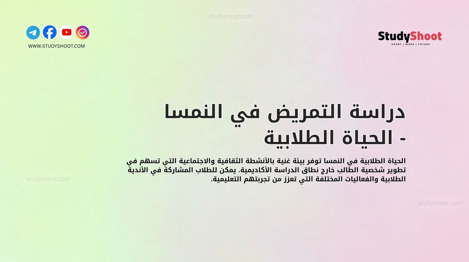 دراسة التمريض في النمسا - الحياة الطلابية