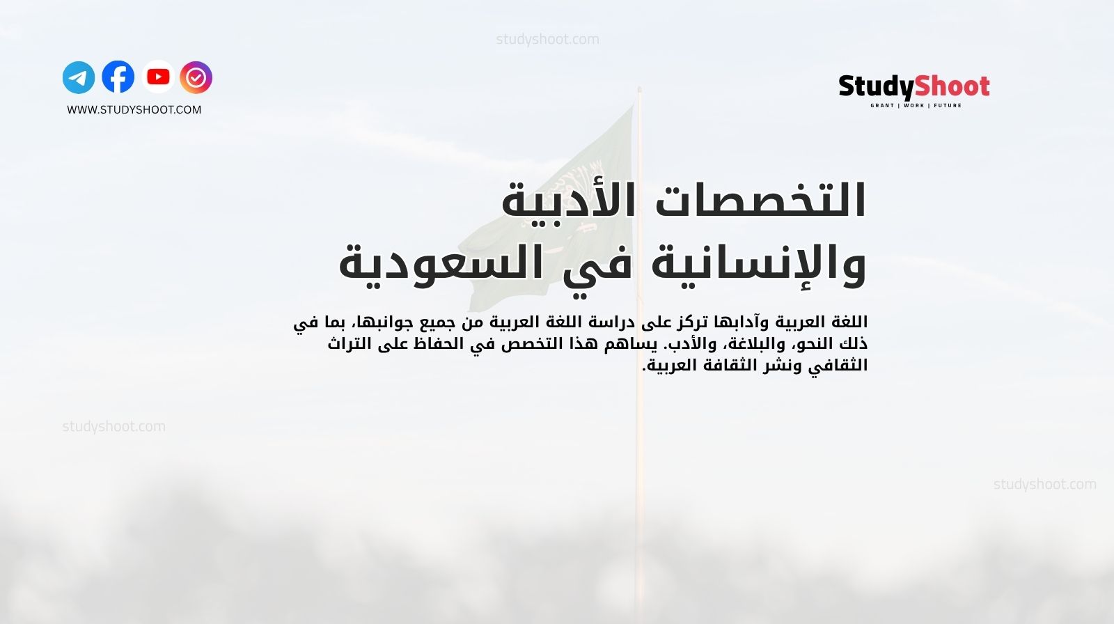 التخصصات الأدبية والإنسانية في السعودية