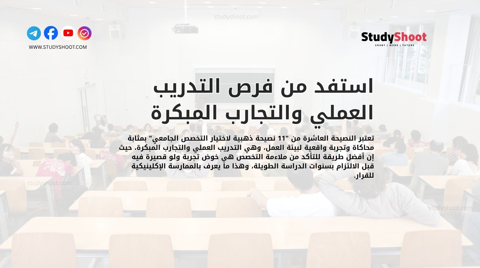 استفد من فرص التدريب العملي والتجارب المبكرة 