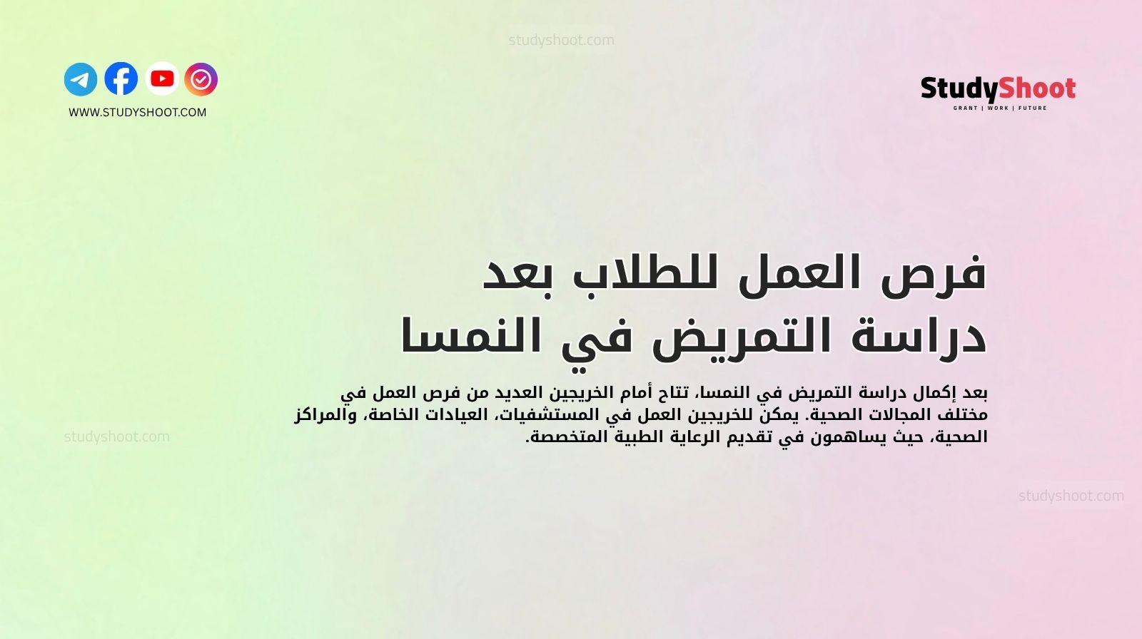 فرص العمل للطلاب بعد دراسة التمريض في النمسا