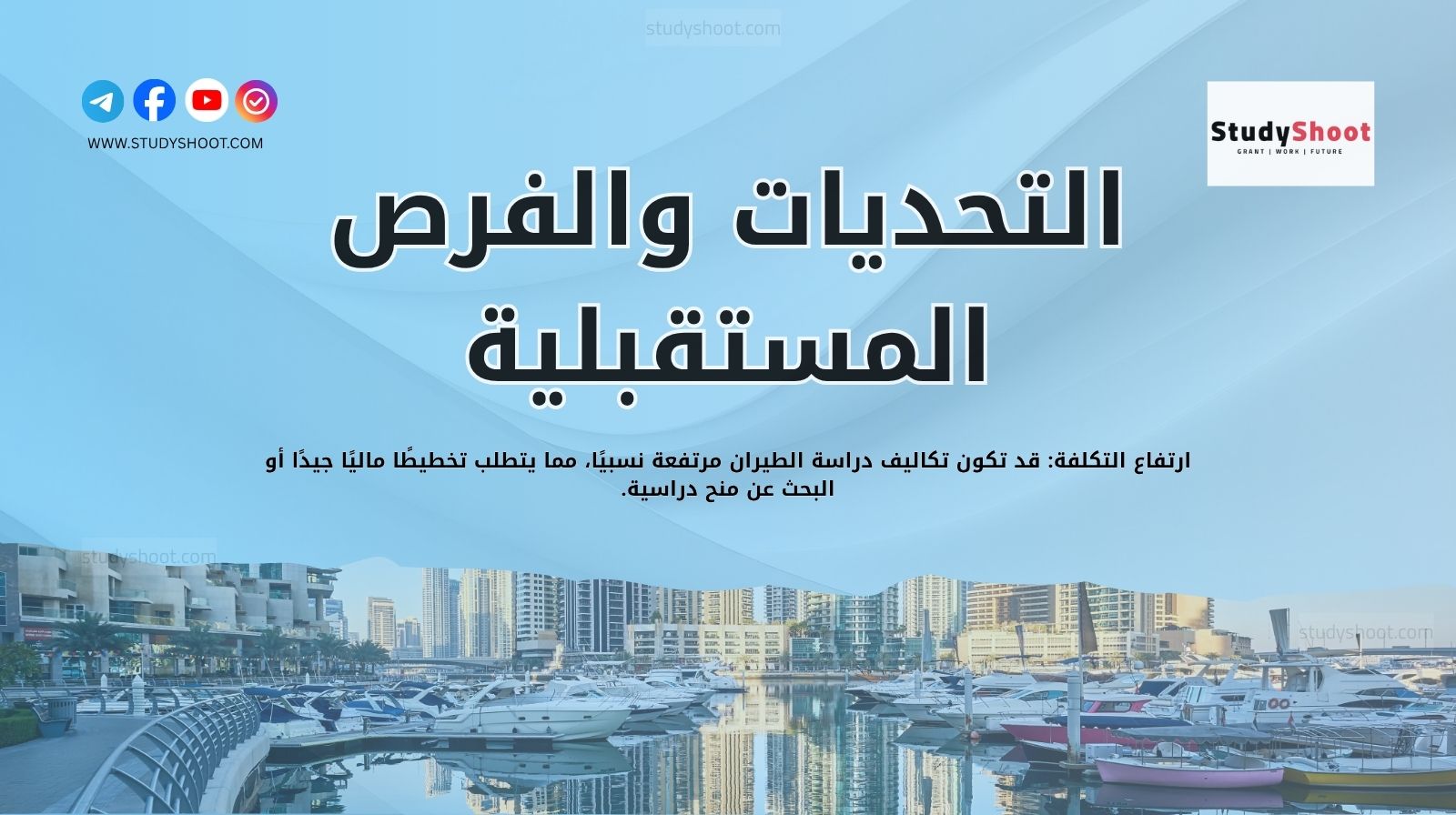 التحديات والفرص المستقبلية