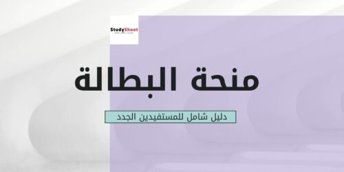 منحة البطالة في الجزائر: دليل شامل للمستفيدين الجدد