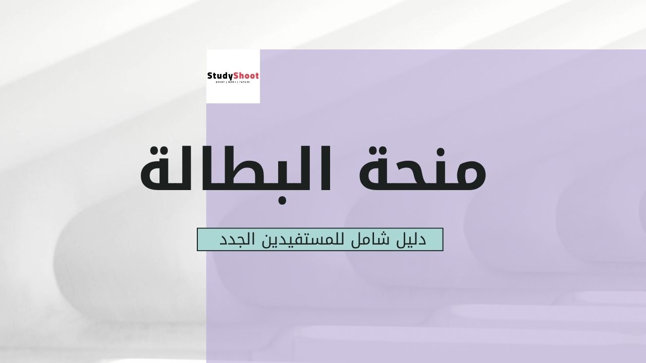 منحة البطالة في الجزائر: دليل شامل للمستفيدين الجدد
