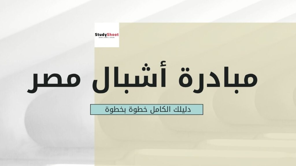 مبادرة أشبال مصر الرقمية