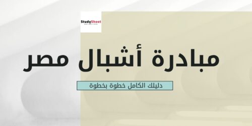 التسجيل في مبادرة أشبال مصر الرقمية: دليلك الكامل خطوة بخطوة