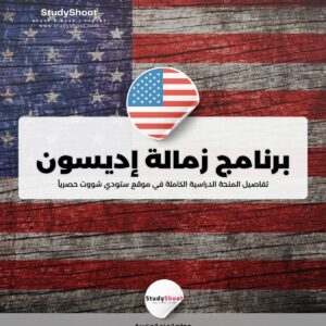 برنامج زمالة إديسون للسياسات والابتكار