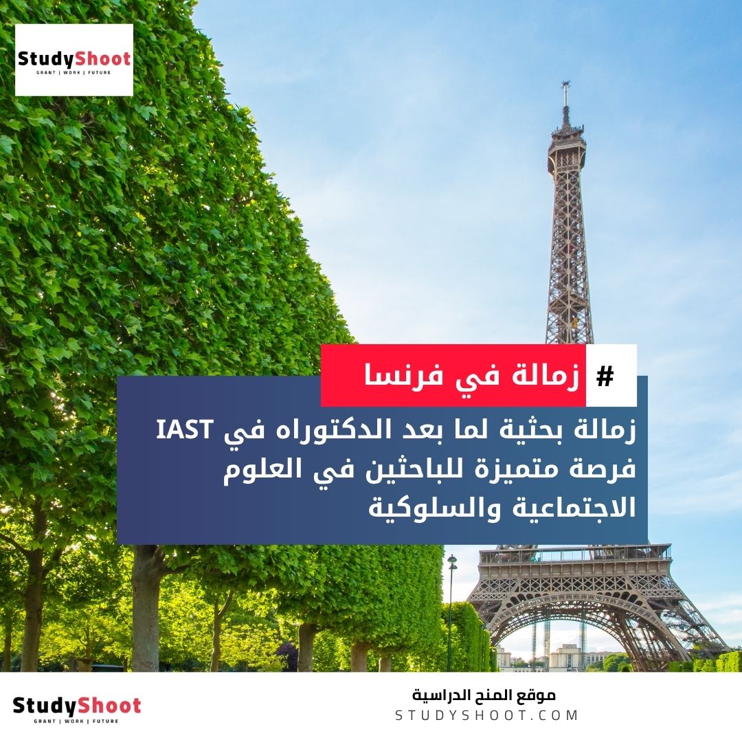 زمالات جامعة تولوز كابيتول IAST في فرنسا