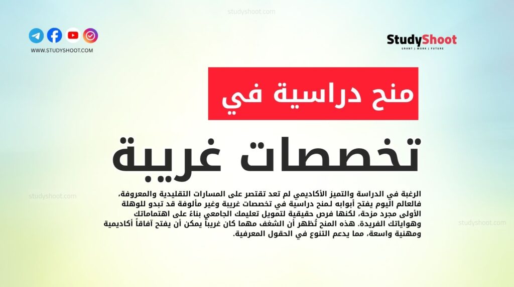 منح دراسية في تخصصات غريبة